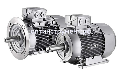 4043403004 Электродвигатель 1LG4206-2AA66-Z 2вала
